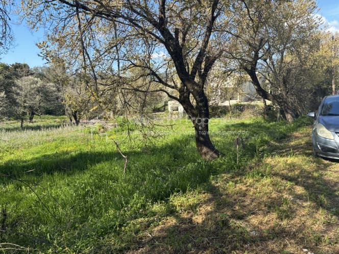Οικόπεδο στην Φαίακες, Κέρκυρα — Φωτογραφία 7 από 13