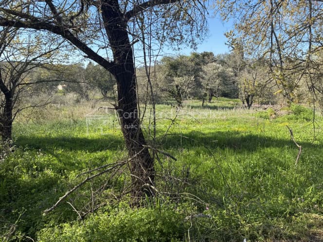 Οικόπεδο στην Φαίακες, Κέρκυρα — Φωτογραφία 6 από 13