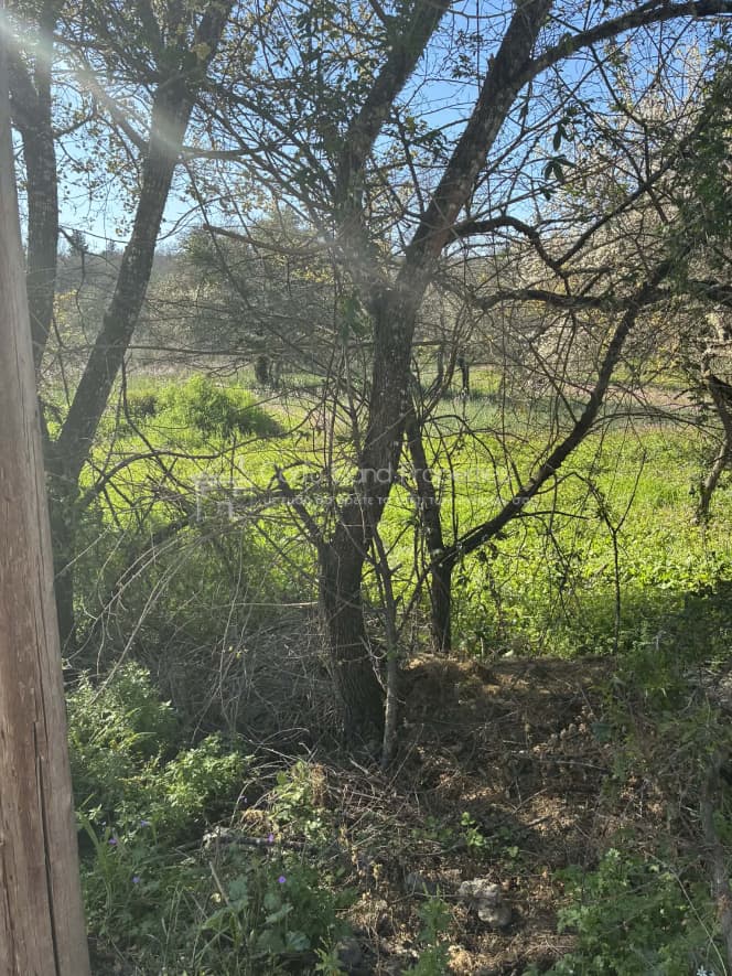 Οικόπεδο στην Φαίακες, Κέρκυρα — Φωτογραφία 10 από 13