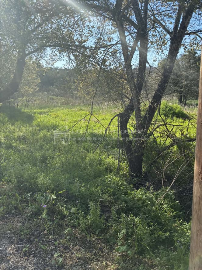 Οικόπεδο στην Φαίακες, Κέρκυρα — Φωτογραφία 5 από 13