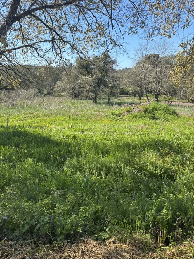 Οικόπεδο στην Φαίακες, Κέρκυρα — Φωτογραφία 1 από 13
