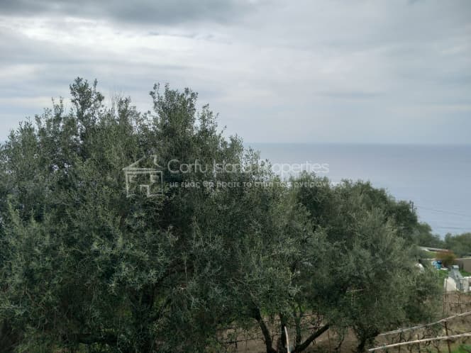 Οικόπεδο στην Αχίλλειο, Κέρκυρα — Φωτογραφία 8 από 18