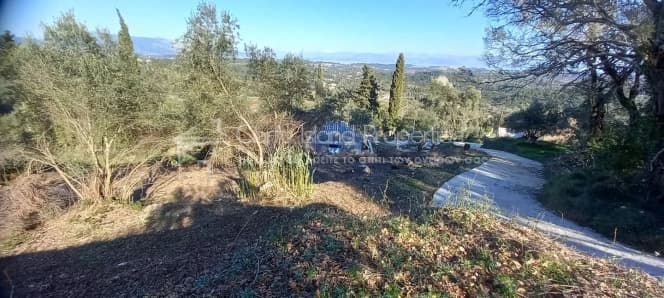 Οικόπεδο στην Παρέλι, Κέρκυρα — Φωτογραφία 2 από 4