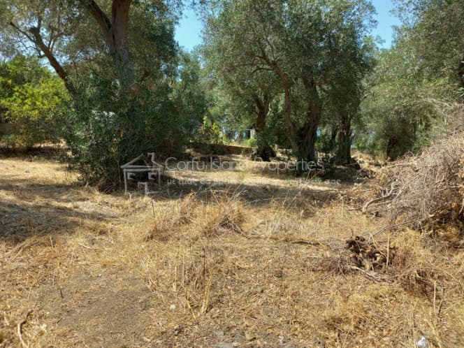 Οικόπεδο στην Αχίλλειο, Κέρκυρα — Φωτογραφία 4 από 10
