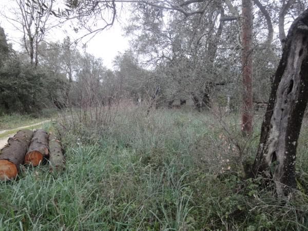 Building Plot in Faiakes, Corfu — Photo 2 of 4