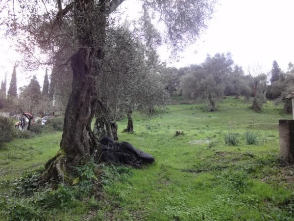 Building Plot in Faiakes, Corfu — Photo 1 of 3
