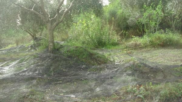 Οικόπεδο στην Φαίακες, Κέρκυρα — Φωτογραφία 6 από 6