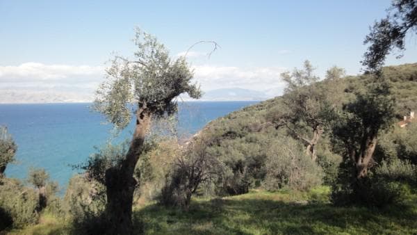 Οικόπεδο στην Κασσιόπη, Κέρκυρα — Φωτογραφία 4 από 12