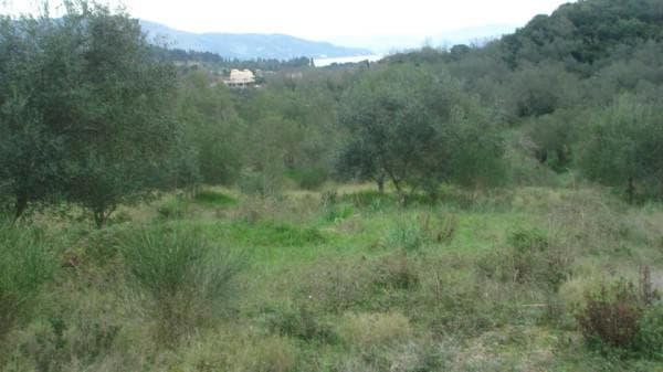 Building Plot in Pareli, Corfu — Photo 25 of 26