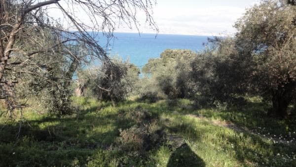 Οικόπεδο στην Κασσιόπη, Κέρκυρα — Φωτογραφία 5 από 12