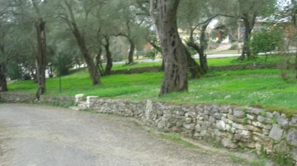 Building Plot in Pareli, Corfu — Photo 6 of 6