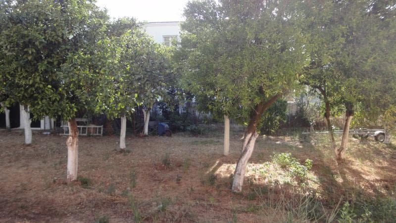 Οικόπεδο στην Αχίλλειο, Κέρκυρα — Φωτογραφία 4 από 6