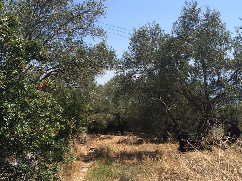 Οικόπεδο στην Φαίακες, Κέρκυρα — Φωτογραφία 4 από 10