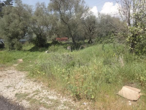 Οικόπεδο στην Όθωνοι, Κέρκυρα — Φωτογραφία 4 από 6