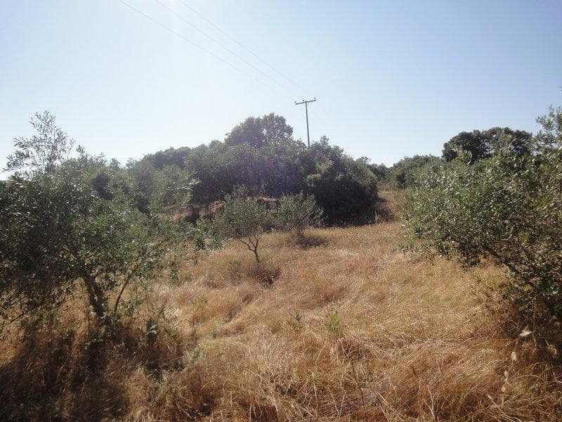 Οικόπεδο στην Μελιτειέοι, Κέρκυρα — Φωτογραφία 13 από 20