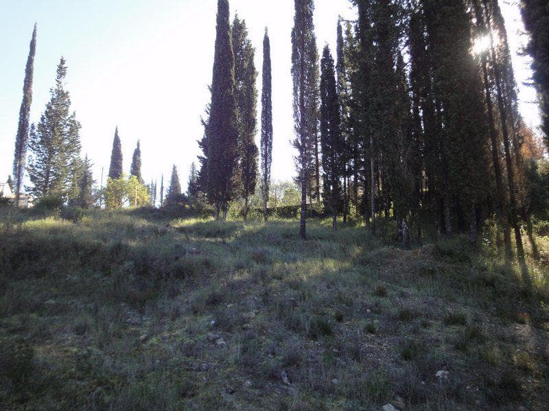 Οικόπεδο στην Αχίλλειο, Κέρκυρα — Φωτογραφία 21 από 24