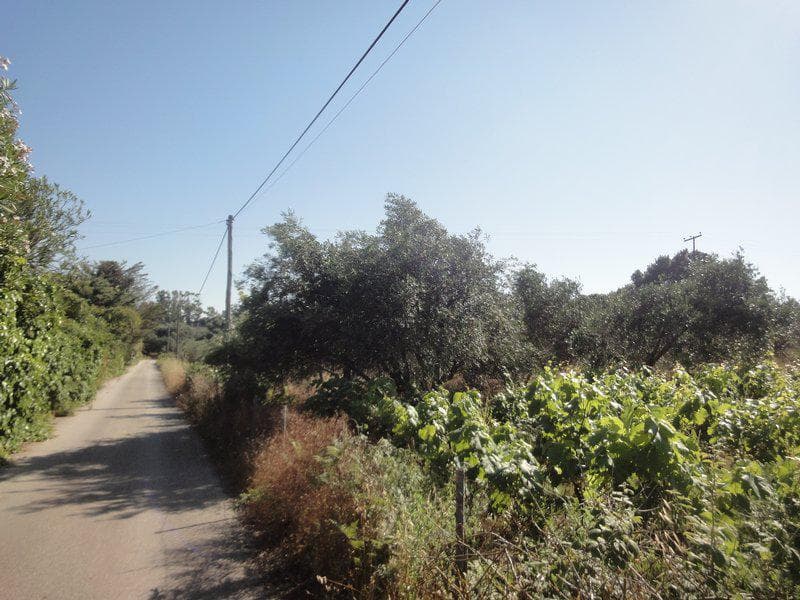 Οικόπεδο στην Μελιτειέοι, Κέρκυρα — Φωτογραφία 15 από 20