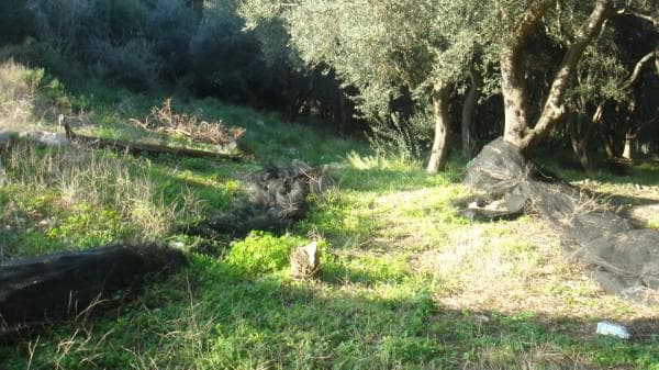 Building Plot in Faiakes, Corfu — Photo 2 of 2