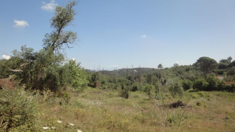Οικόπεδο στην Αχίλλειο, Κέρκυρα — Φωτογραφία 6 από 6