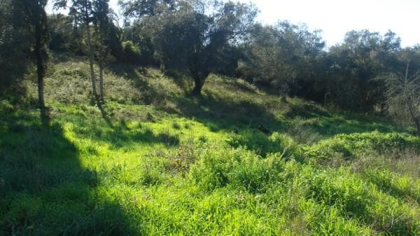 Building Plot in Faiakes, Corfu — Photo 1 of 3