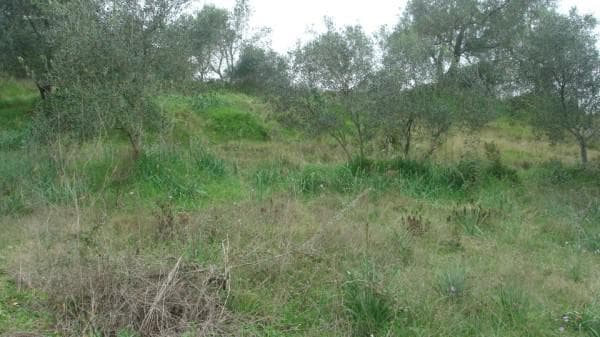 Building Plot in Pareli, Corfu — Photo 26 of 26