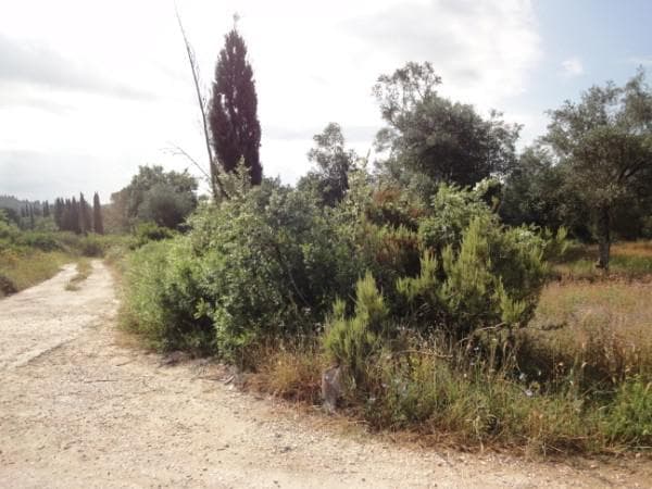 Οικόπεδο στην Παρέλι, Κέρκυρα — Φωτογραφία 2 από 6