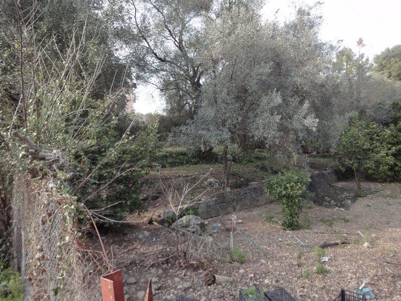 Οικόπεδο στην Αχίλλειο, Κέρκυρα — Φωτογραφία 7 από 8