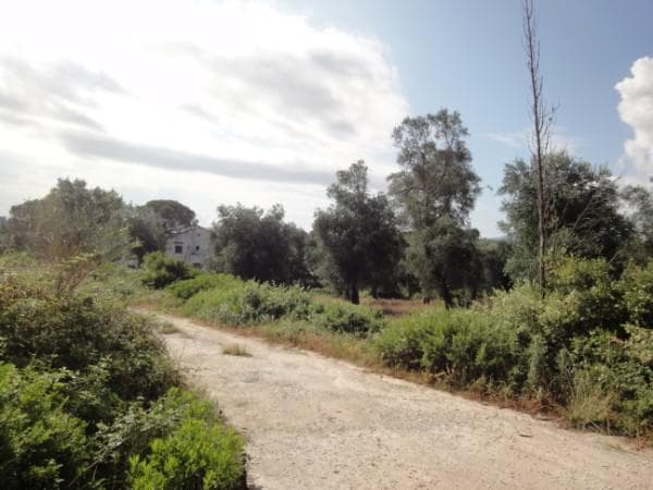 Οικόπεδο στην Παρέλι, Κέρκυρα — Φωτογραφία 1 από 6