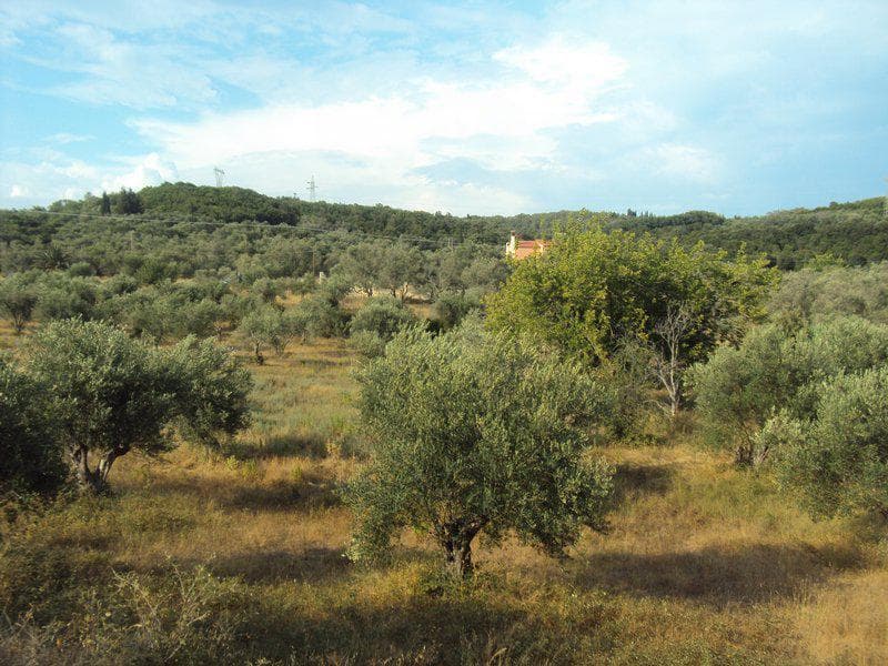 Οικόπεδο στην Βασιλάτικα, Κέρκυρα — Φωτογραφία 11 από 30