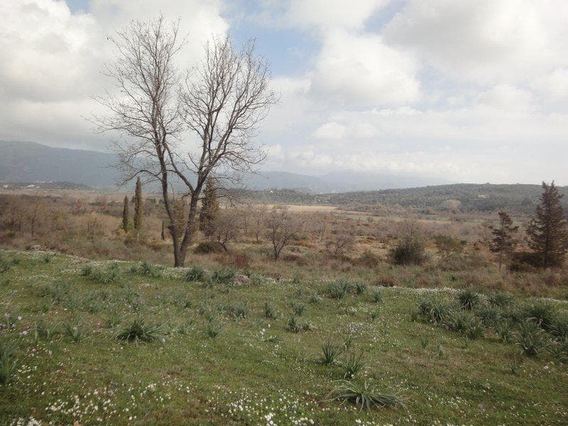 Οικόπεδο στην Παλαιοκαστρίτσα, Κέρκυρα — Φωτογραφία 2 από 23
