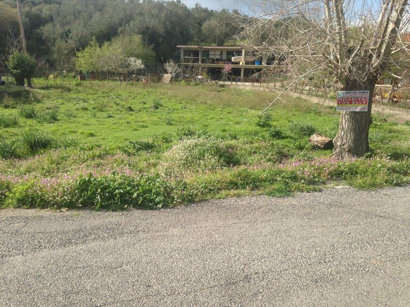 Οικόπεδο στην Παρέλι, Κέρκυρα — Φωτογραφία 14 από 26