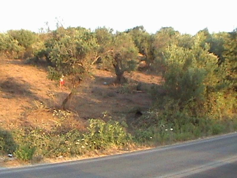 Οικόπεδο στην Κασσιόπη, Κέρκυρα — Φωτογραφία 6 από 7