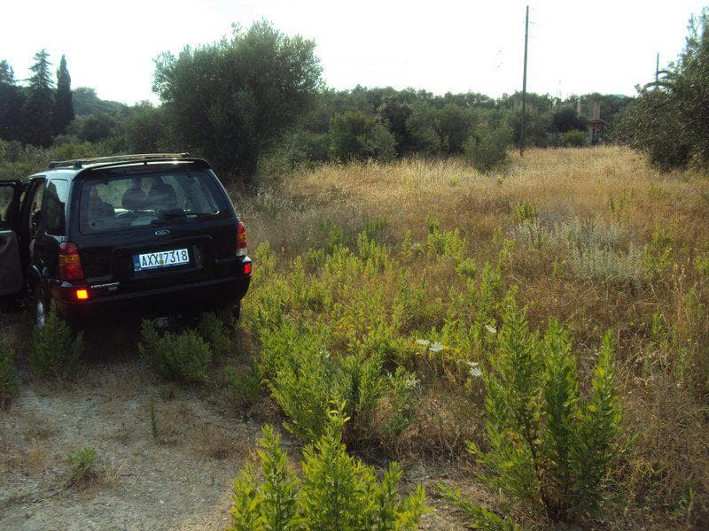 Οικόπεδο στην Βασιλάτικα, Κέρκυρα — Φωτογραφία 19 από 30