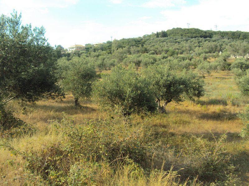 Οικόπεδο στην Βασιλάτικα, Κέρκυρα — Φωτογραφία 20 από 30