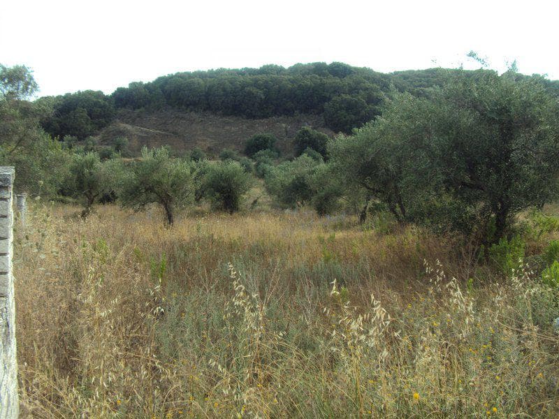 Οικόπεδο στην Βασιλάτικα, Κέρκυρα — Φωτογραφία 24 από 30