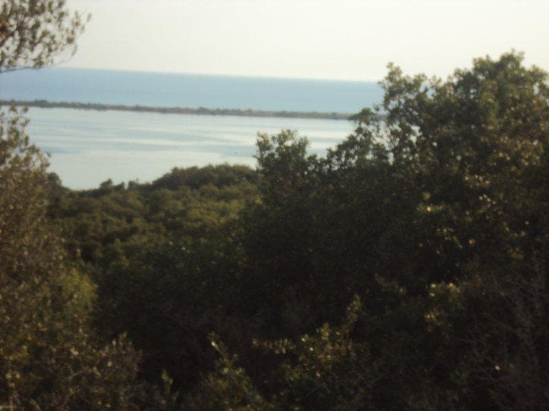 Οικόπεδο στην Βασιλάτικα, Κέρκυρα — Φωτογραφία 6 από 30