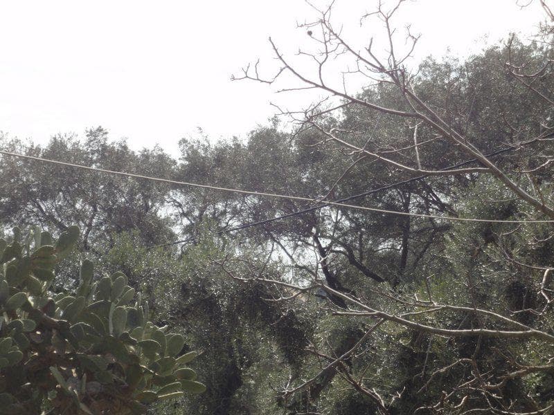 Building Plot in Faiakes, Corfu — Photo 11 of 30