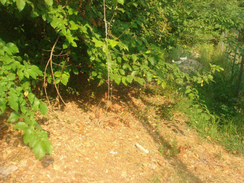 Building Plot in Pareli, Corfu — Photo 3 of 8