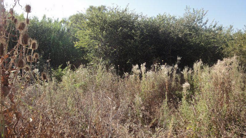 Building Plot in Αgios Georgios, Corfu — Photo 4 of 5