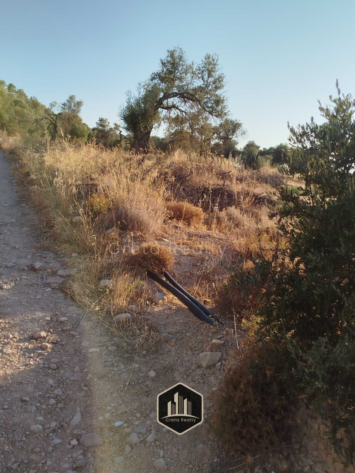Οικόπεδο στην Καμηλάρι, Τυμπάκι — Φωτογραφία 9 από 15