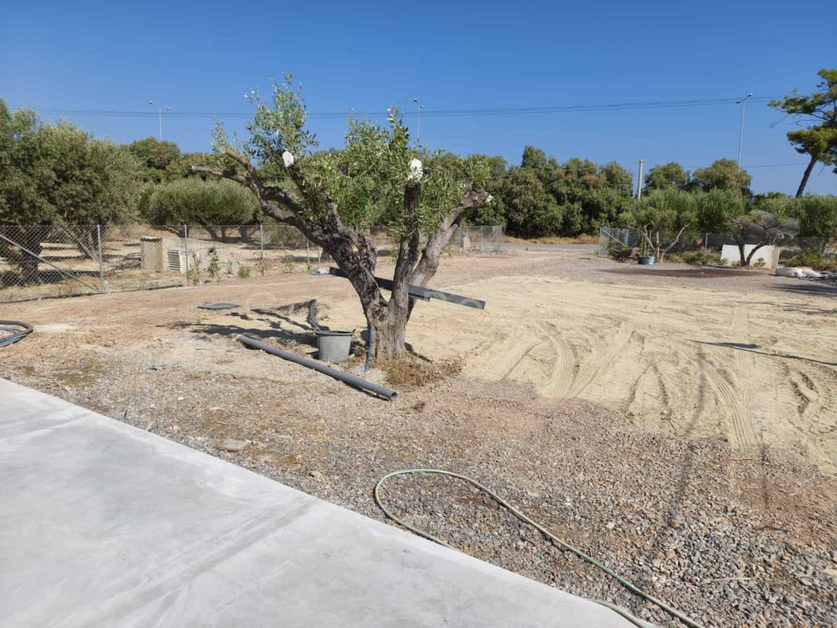 Διαμέρισμα στην Καρτερός, Νέα Αλικαρνασσός — Φωτογραφία 3 από 21