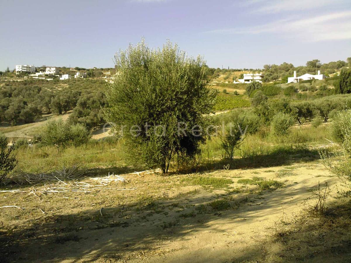 Αγροτεμάχιο στην Βούτες, Τέμενος — Φωτογραφία 5 από 5