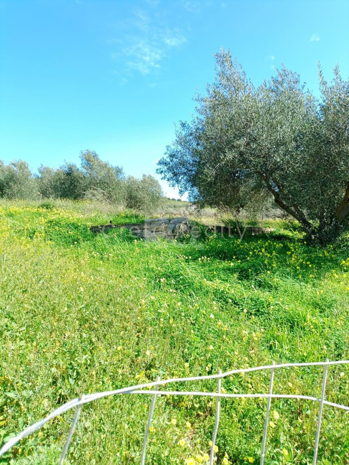 Οικόπεδο στην Μαλάδες, Τέμενος — Φωτογραφία 5 από 5