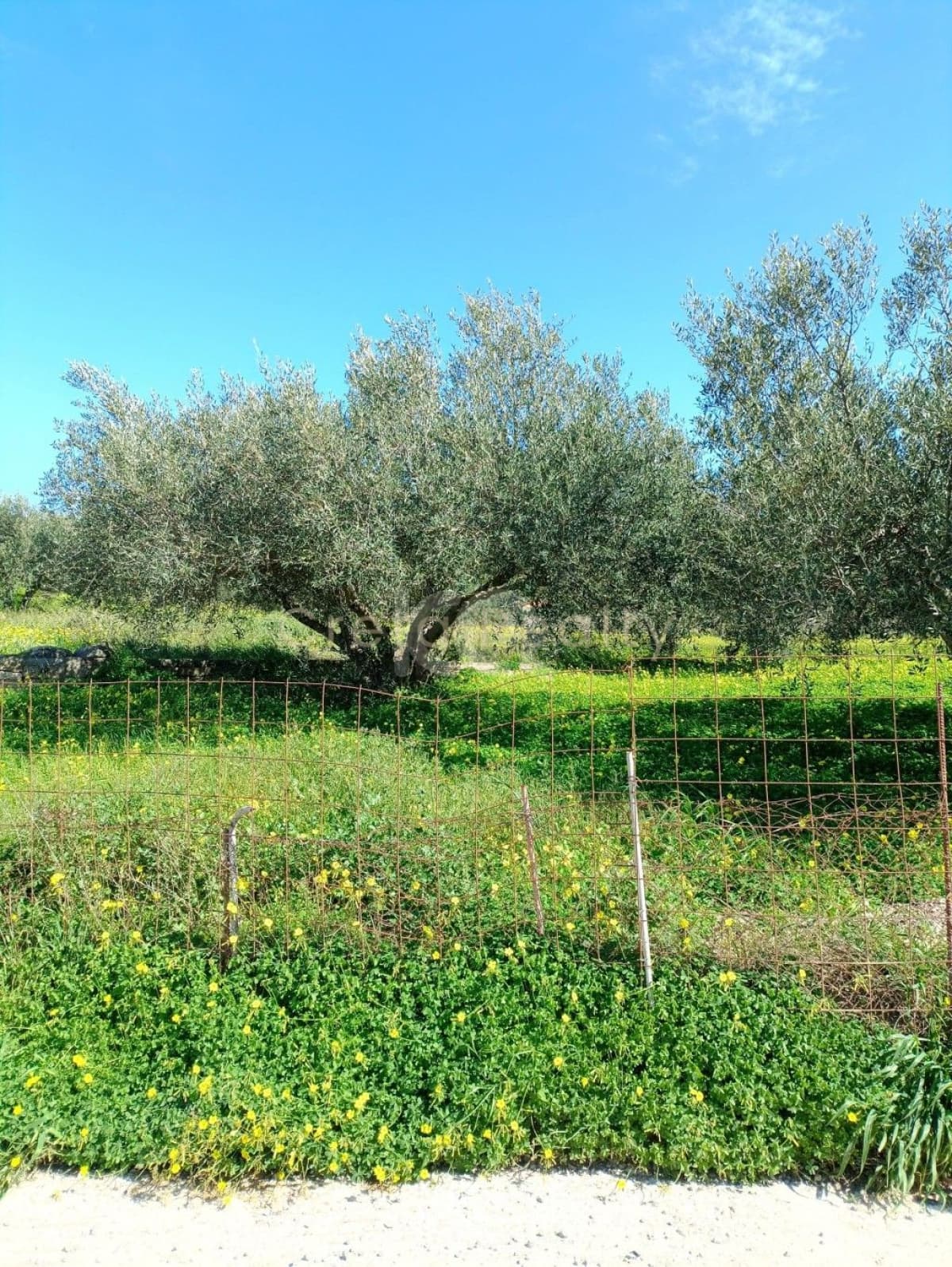 Οικόπεδο στην Μαλάδες, Τέμενος — Φωτογραφία 1 από 5