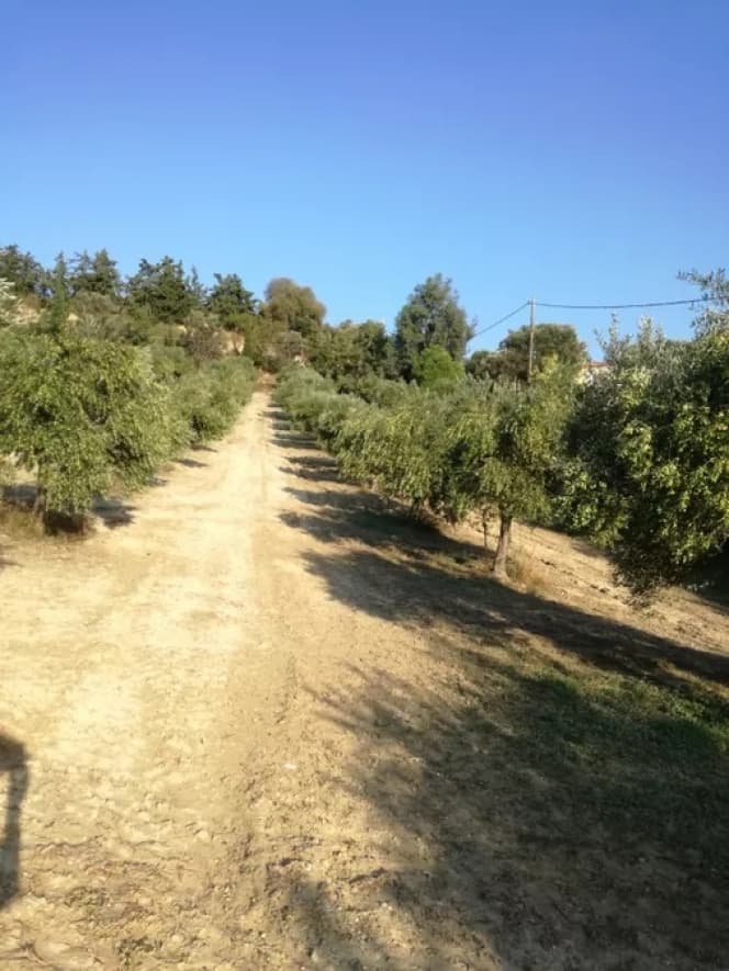 Building Plot in Giofirakia, Temenos — Photo 1 of 4