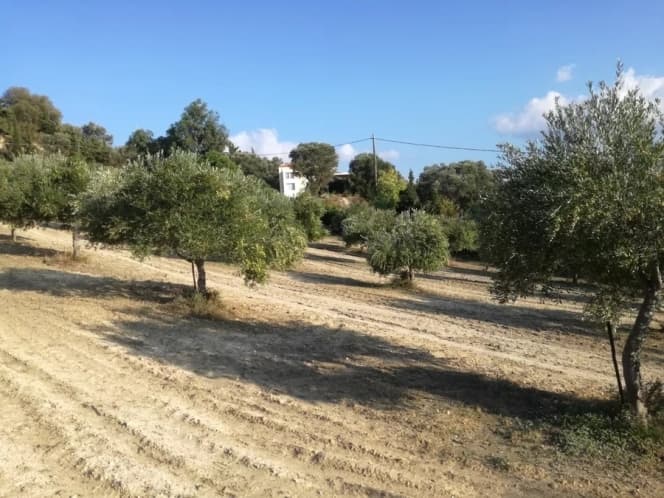 Building Plot in Giofirakia, Temenos — Photo 2 of 4