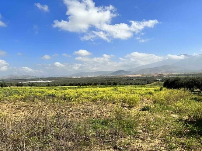 Building Plot in Roussochoria, Arkalochori — Photo 1 of 2