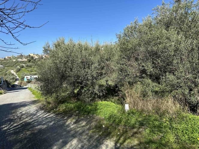 Οικόπεδο στην Βασιλείες, Αρχάνες