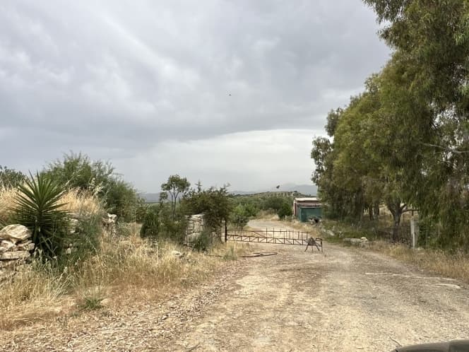 Building Plot in Alagni, Arkalochori — Photo 5 of 27