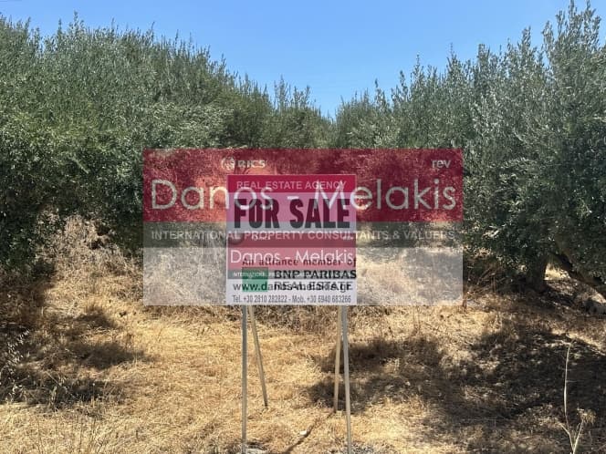Parcel in Dafnes, Tetrachori — Photo 2 of 17